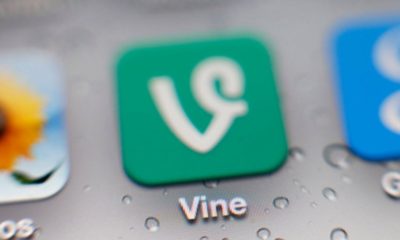 Vine