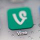 Vine