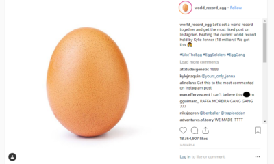 World Record Egg